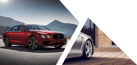 home page left figure min