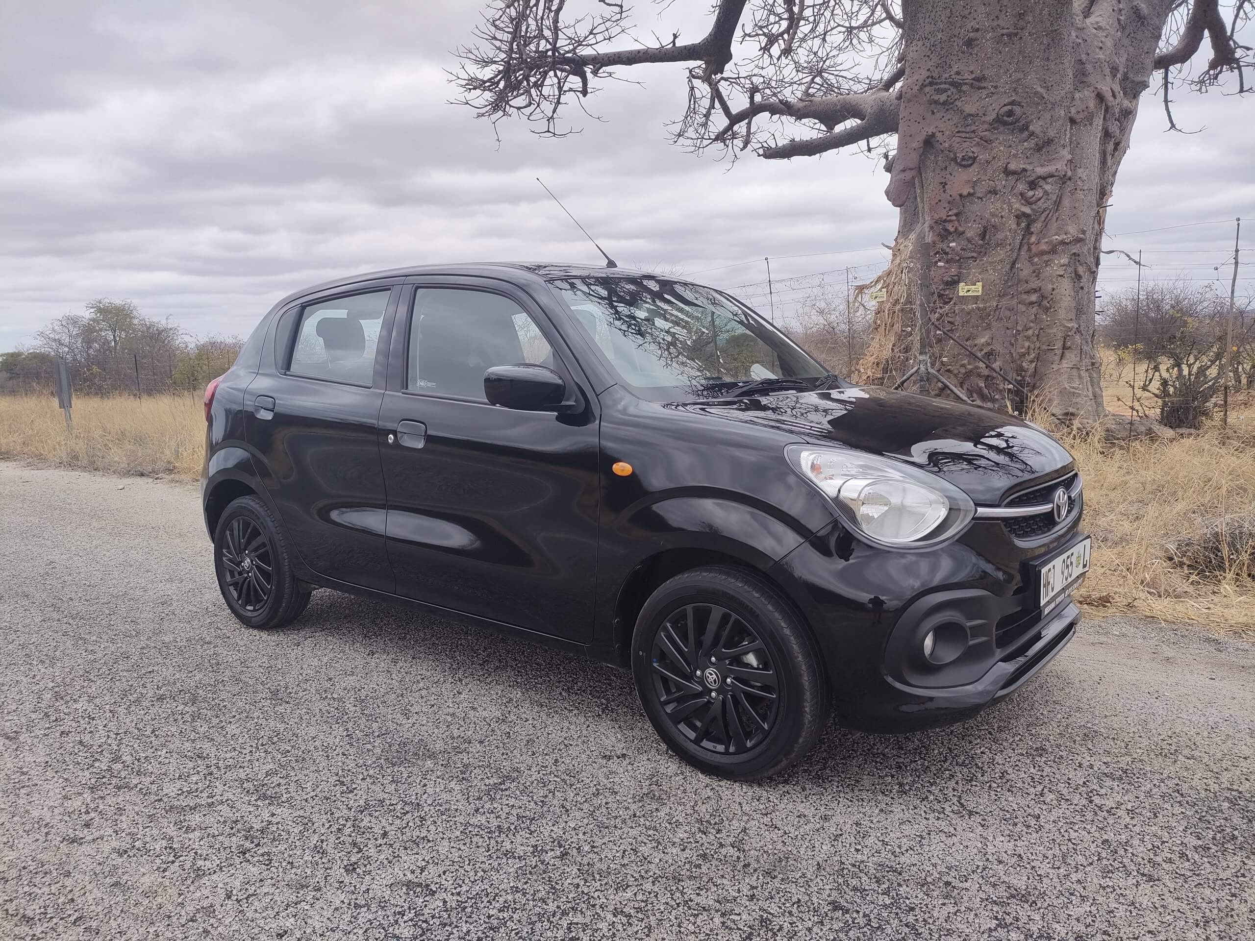 IMG20240911125905 scaled