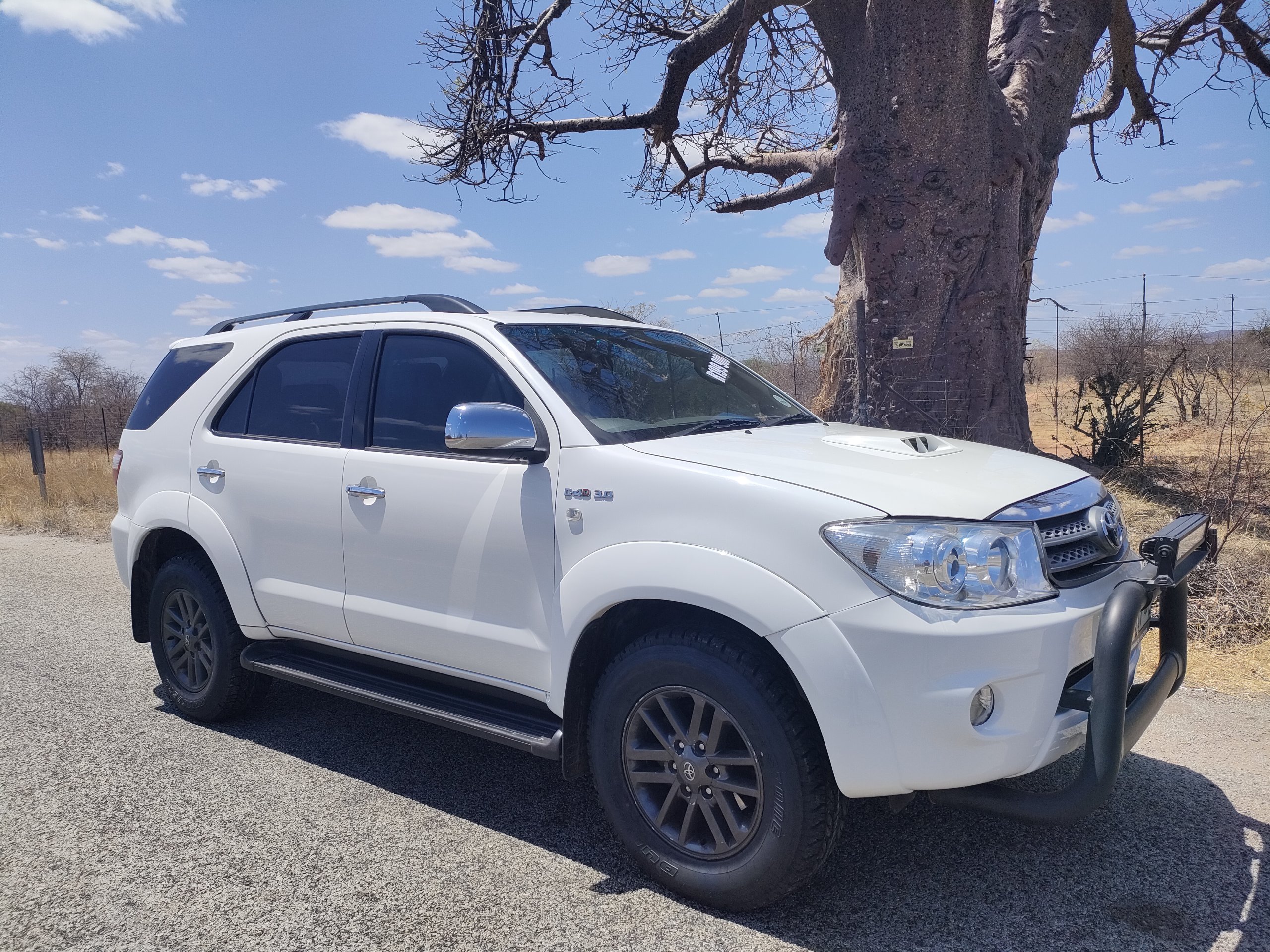 IMG20241017104821 scaled