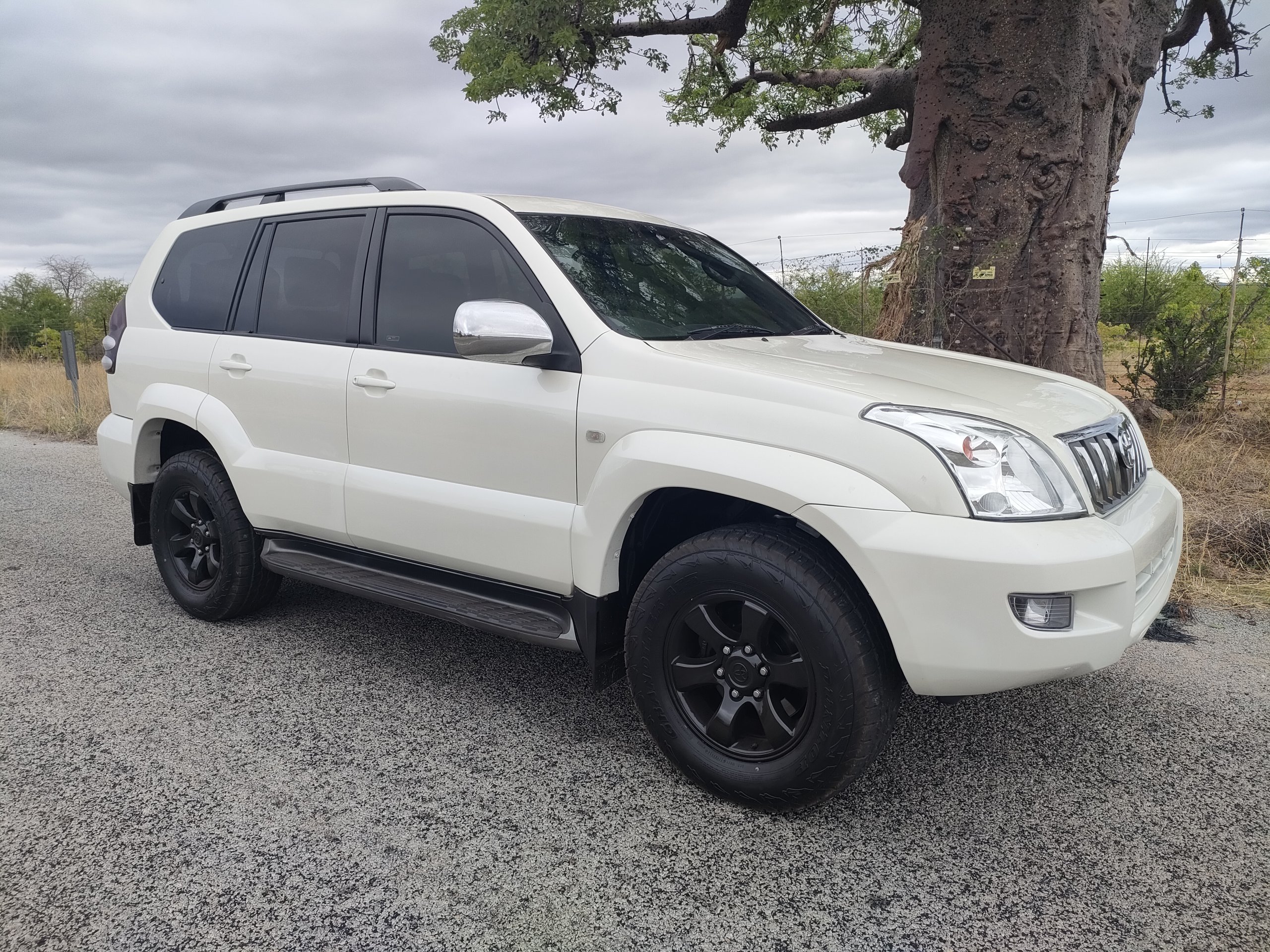 IMG20241106115411 scaled