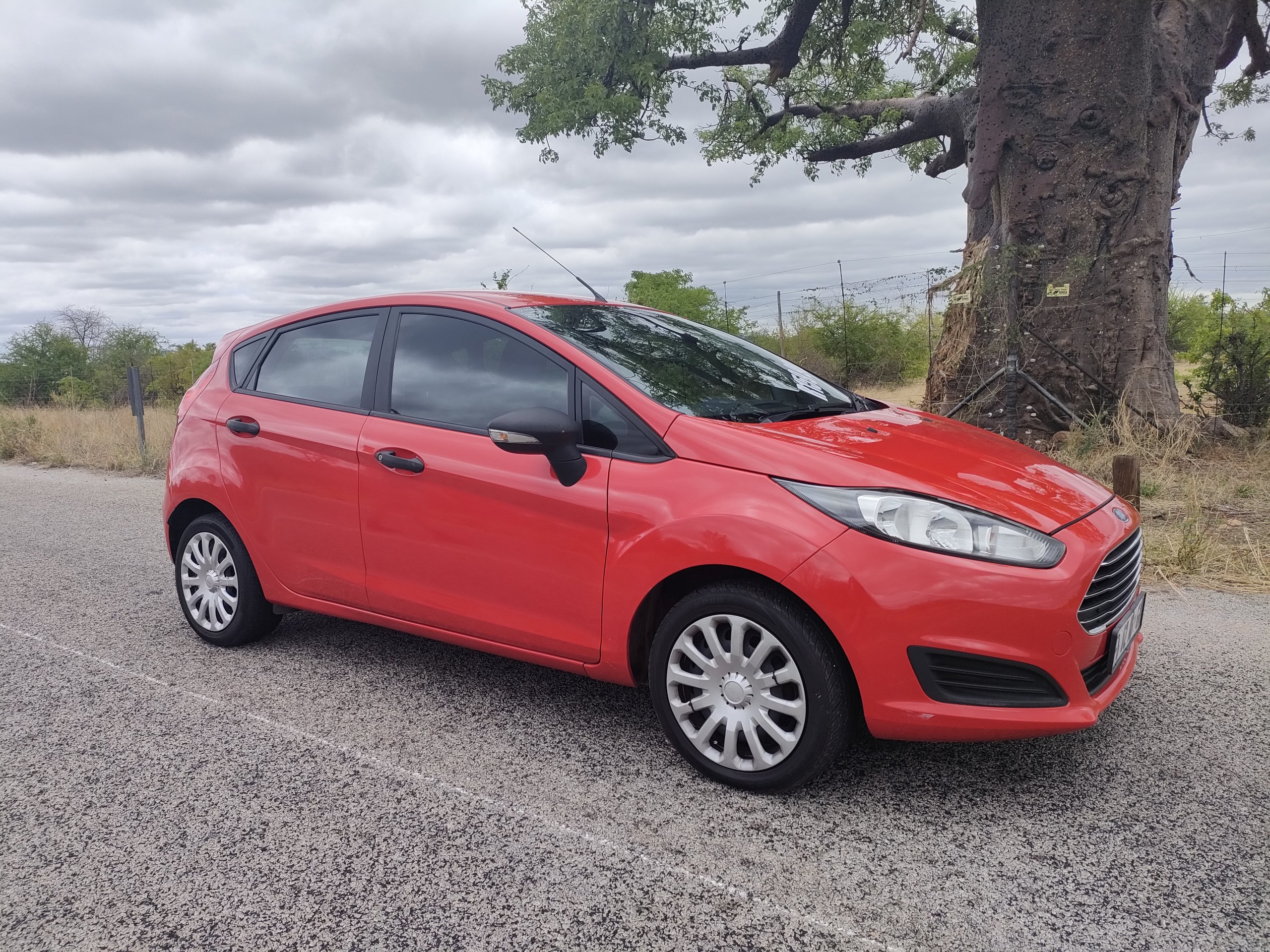 IMG20241108112549 scaled